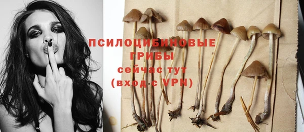 герыч Няндома