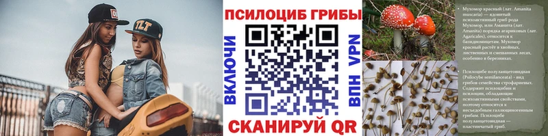 Галлюциногенные грибы Psilocybe  как найти   Камбарка 